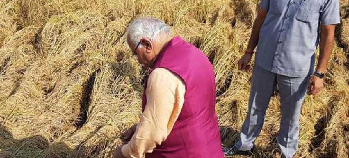 किसानों को मोदी के पैसे का इंतजार  केंद्र सरकार का दावा : साढ़े 14 लाख किसानों को करोड़ों बांट दिये
