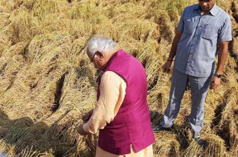 किसानों को मोदी के पैसे का इंतजार  केंद्र सरकार का दावा : साढ़े 14 लाख किसानों को करोड़ों बांट दिये