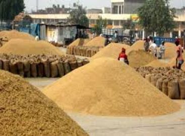 किसान को एसएमएस आया कि वह दिये गये ब्योरे के अनुसार अपनी 42 क्विंटल सरसो लेकर मंडी आ जाये। जब ट्रॉली लाद कर वहां पहुंचा तो उसे बताया गया कि उसे 42 क्विंटल नहीं केवल 32 किलोग्राम सरसो लाने को कहा गया था। किसान ने अपना सिर पीट लिया…