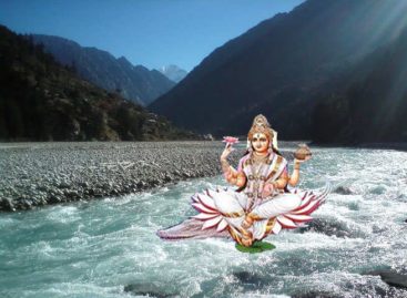 राष्ट्रीय औद्योगिक अनुसंधान परिषद से सम्बन्धित एक संस्था ‘नीरी’ ने अपने एक प्रोजेक्ट में गंगा के पानी की जांच की थी और पाया था कि गंगा के पानी में या वहां की मिट्टी में विषाणु या जीवाणु मुक्त होने के कोई प्रमाण नहीं मिले हैं।