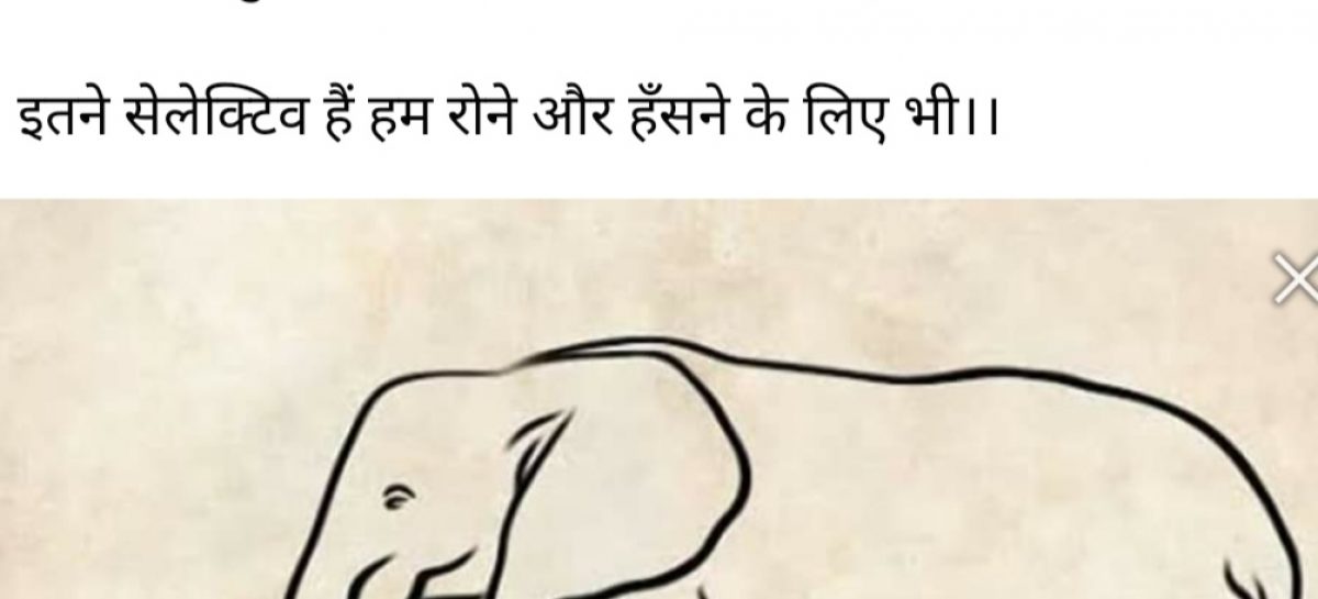 गुजरात में हुये मुस्लिमों के कत्लेआम में एक गर्भवती महिला के पेट में से बरछे से चीर कर बच्चे को निकाला गया और उसे शहर में घुमाया गया