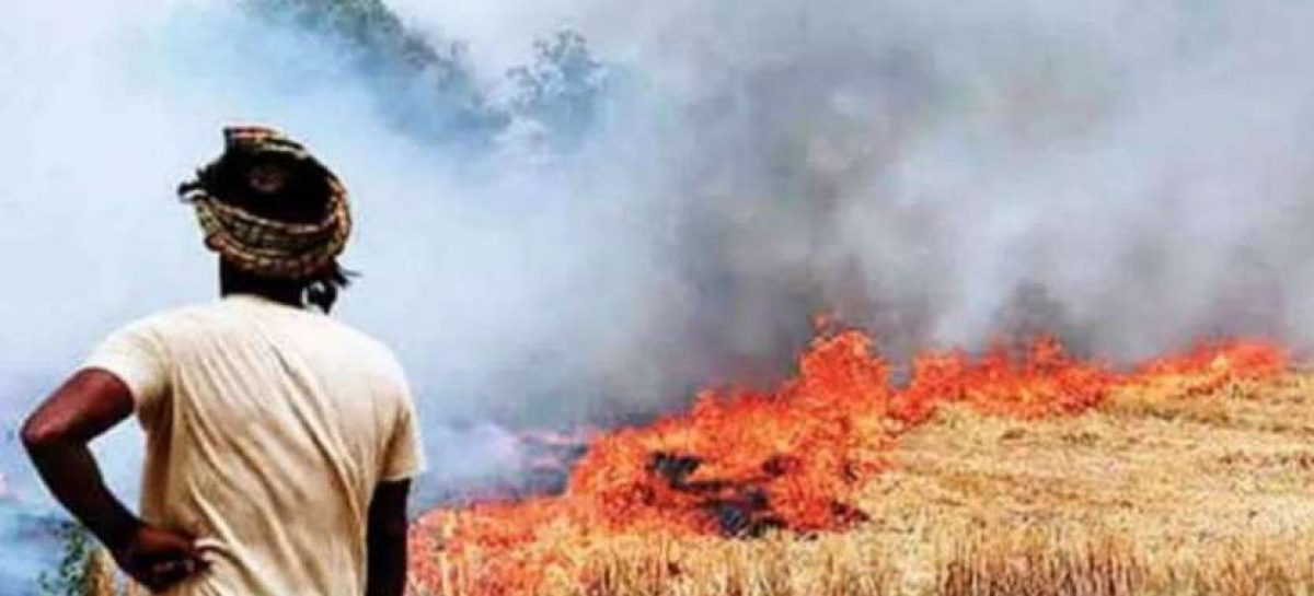 पानी सिर से ऊपर निकल जाने के बाद चेती सरकार ने इस प्रदूषण का कारण किसानों द्वारा पराली जलाया जाना बताया…