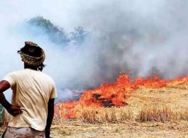पानी सिर से ऊपर निकल जाने के बाद चेती सरकार ने इस प्रदूषण का कारण किसानों द्वारा पराली जलाया जाना बताया…