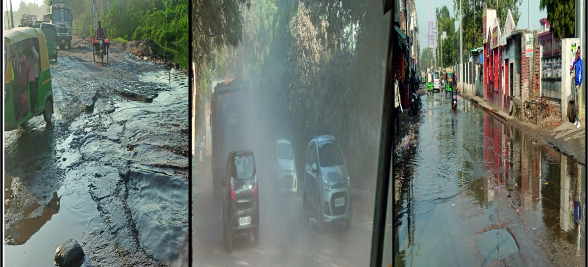पर्यावरण की बलि-वेदी पर शहर का कारोबार