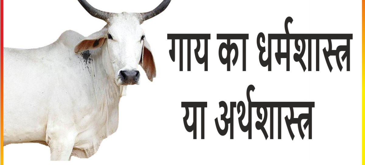 क्या आवारा पशुओं को लाभकारी बनाने का मोदी चुनावी वायदा ऐसे पूरा होगा?