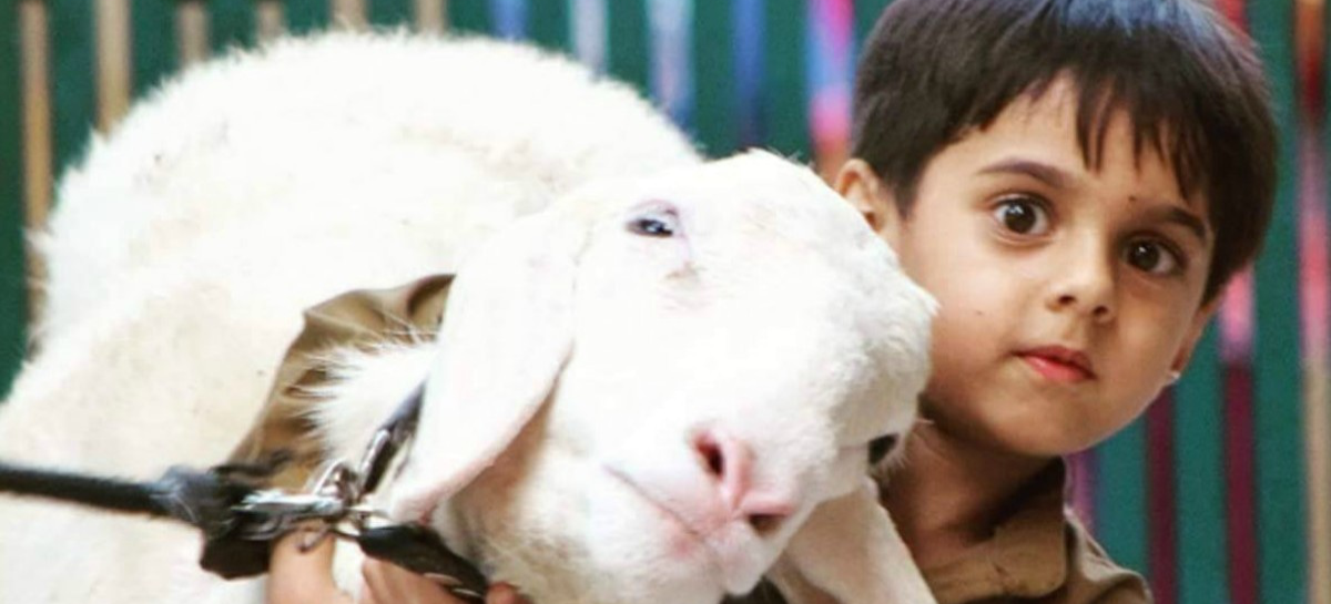 क़ुरबानी न फर्ज़़ है न वाजिब है