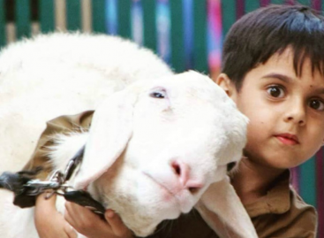 क़ुरबानी न फर्ज़़ है न वाजिब है