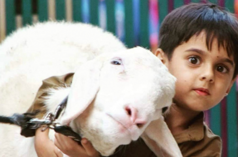 क़ुरबानी न फर्ज़़ है न वाजिब है