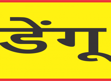 शहर में डेंगू का डंक