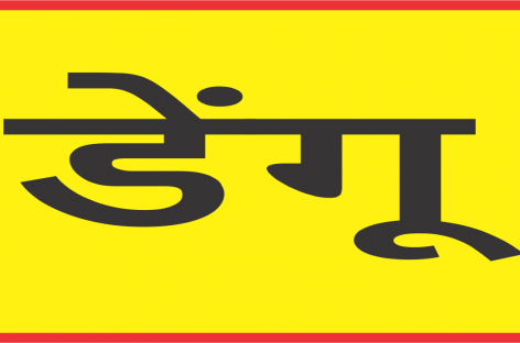 शहर में डेंगू का डंक