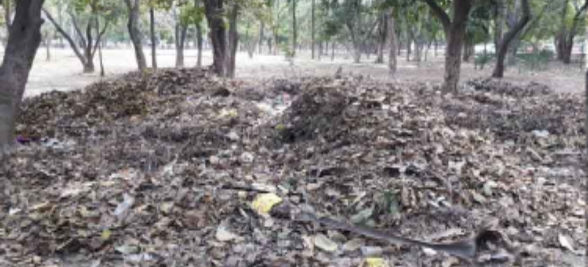फरीदाबाद के इकलौते टाउन पार्क की बदहाली