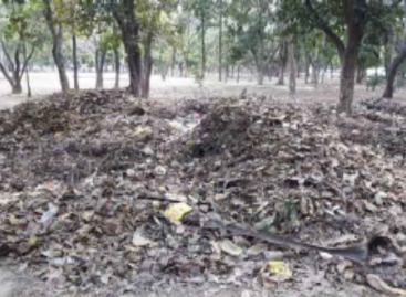 फरीदाबाद के इकलौते टाउन पार्क की बदहाली