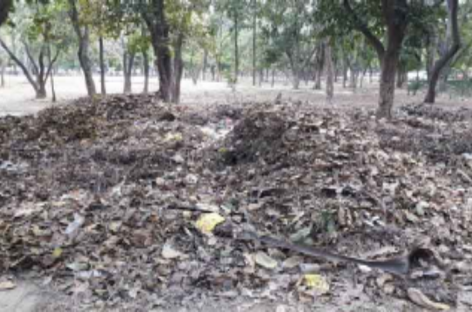 फरीदाबाद के इकलौते टाउन पार्क की बदहाली