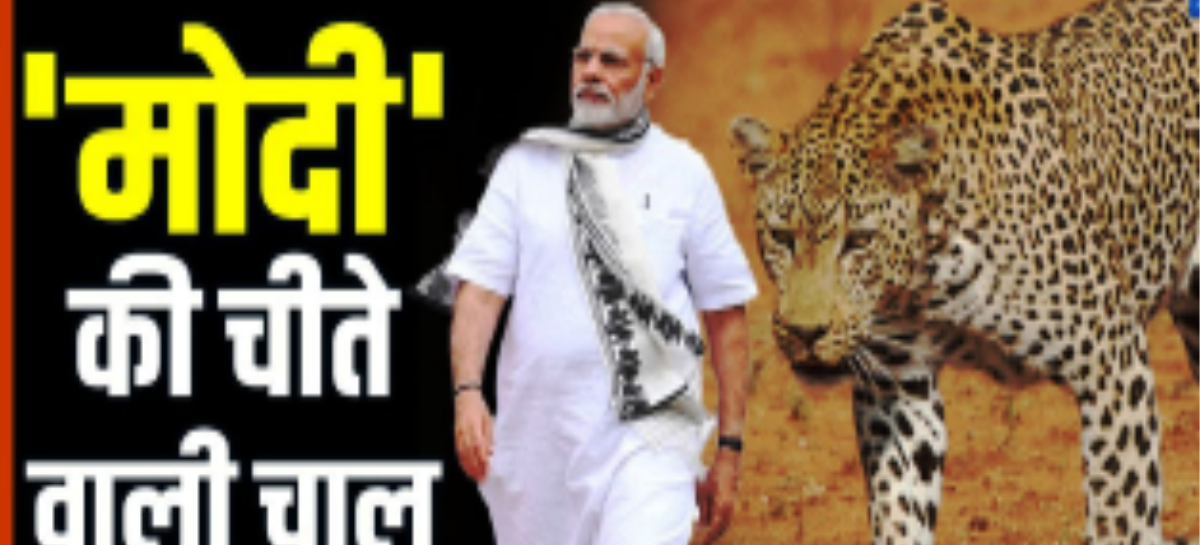 चीते इम्पोर्ट करने के बाद अब अगला नंबर टाइगर का?