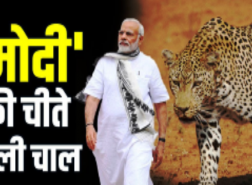 चीते इम्पोर्ट करने के बाद अब अगला नंबर टाइगर का?