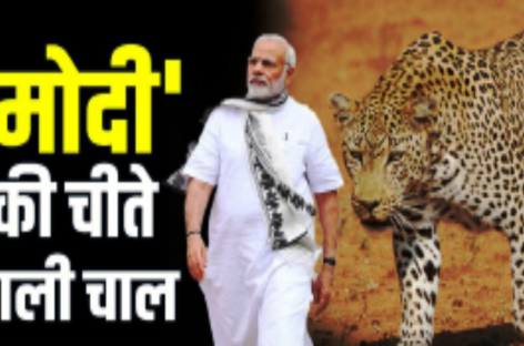 चीते इम्पोर्ट करने के बाद अब अगला नंबर टाइगर का?