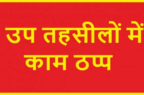 नायब तहसीलदार परीक्षा देने गए पंचकुला जिले की उप तहसीलों में काम ठप्प