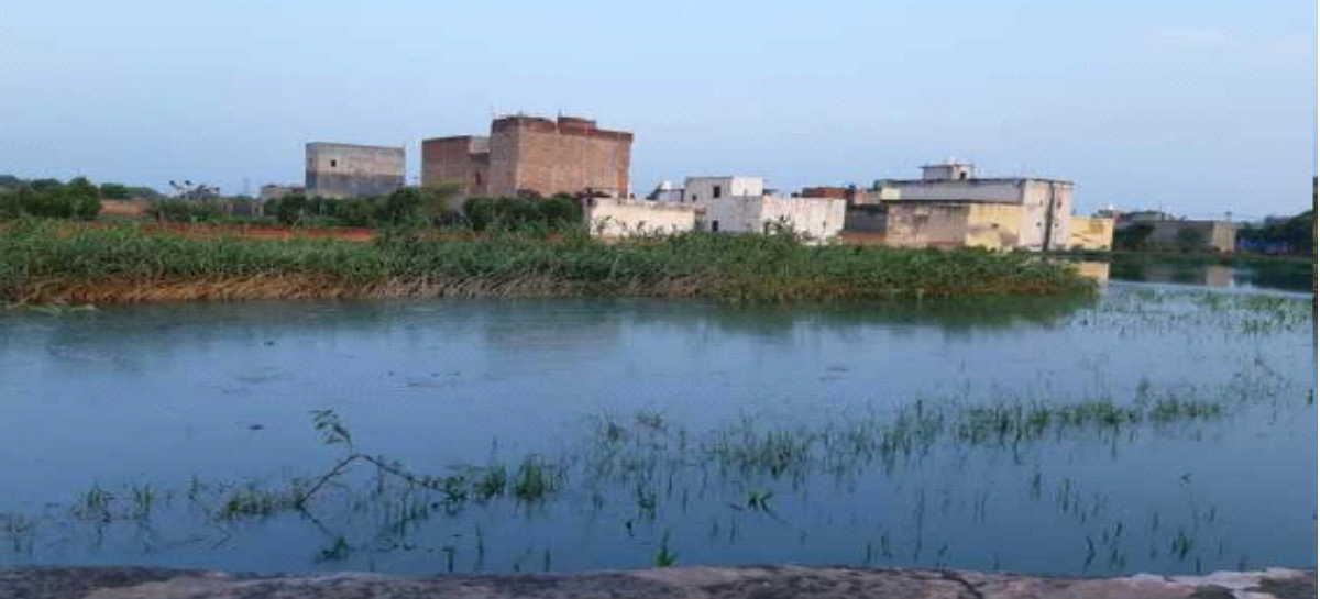नगर निगम के तीनों एसटीपी जल प्रदूषित करने में जुटे हैं