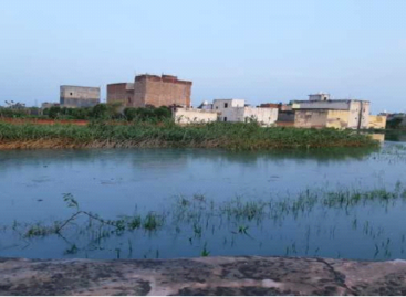 नगर निगम के तीनों एसटीपी जल प्रदूषित करने में जुटे हैं