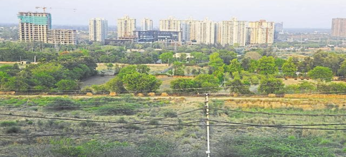वन विभाग की लापरवाही के कारण लोगों को जान-माल का खतरा