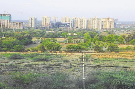 वन विभाग की लापरवाही के कारण लोगों को जान-माल का खतरा