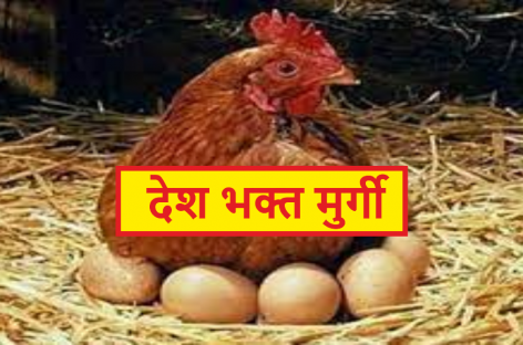 मुर्गी अंडे दे रही थी और मालिक बेच रहा था…. मुर्गी देशहित में अंडे दे रही थी…
