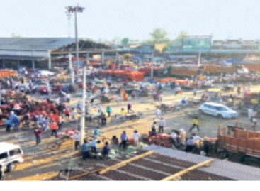 फरीदाबाद डबुआ सब्जी मंडी पार्किंग के ठेके में हुए घोटाले को लेकर विधायक भी बोले