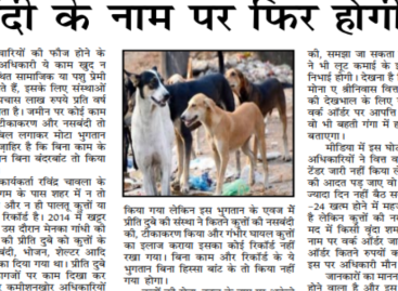 कुत्तों के टीकाकरण-नसबंदी के नाम पर फिर होगी लूट