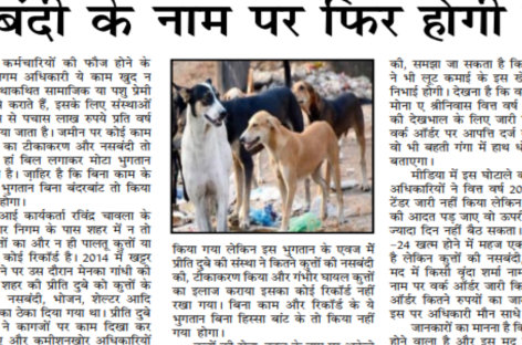 कुत्तों के टीकाकरण-नसबंदी के नाम पर फिर होगी लूट