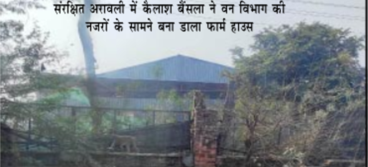 अरावली में वन-पर्यावरण संरक्षकों पर पाबंदी, अवैध निर्माण पर छूट