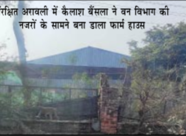 अरावली में वन-पर्यावरण संरक्षकों पर पाबंदी, अवैध निर्माण पर छूट