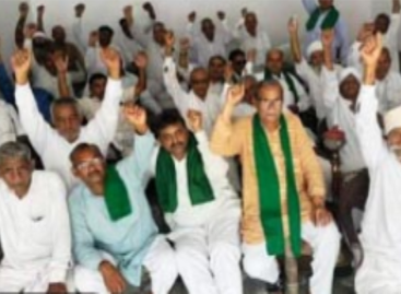 चावल के निर्यात पर लगी पाबंदी हटाएं वरना बेकद्री : मान