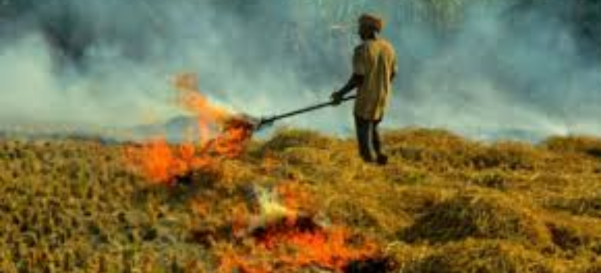 पराली का धुंआ तो दिखता है, सड़कों की धूल, पटाखे व जलते कबाड़ों के ढेर नहीं
