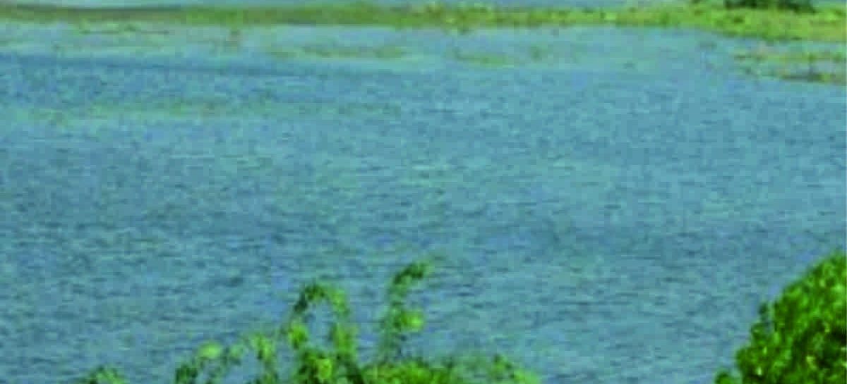 बडख़ल झील को सीवेज के शोधित पानी से भरने का 10 वर्ष पुराना राग