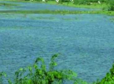 बडख़ल झील को सीवेज के शोधित पानी से भरने का 10 वर्ष पुराना राग