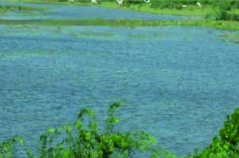 बडख़ल झील को सीवेज के शोधित पानी से भरने का 10 वर्ष पुराना राग