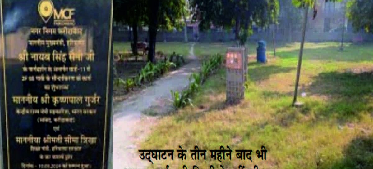 पार्कों का सौंदर्यीकरण बनाम अदलखा की लूट