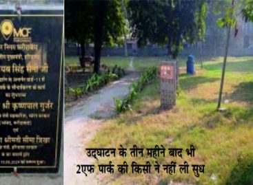 पार्कों का सौंदर्यीकरण बनाम अदलखा की लूट
