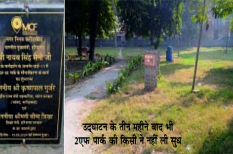 पार्कों का सौंदर्यीकरण बनाम अदलखा की लूट