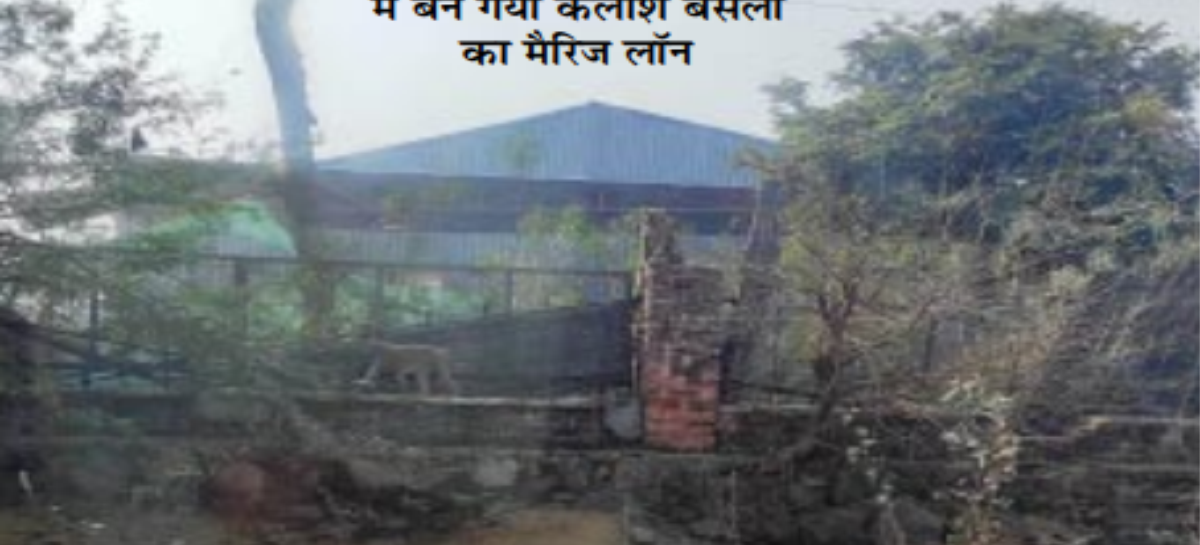 वन भूमि पर कायम रहेगा सत्ता के दुलारों का कब्जा, सुप्रीम कोर्ट की नाटकबाजी भी चलती रहेगी