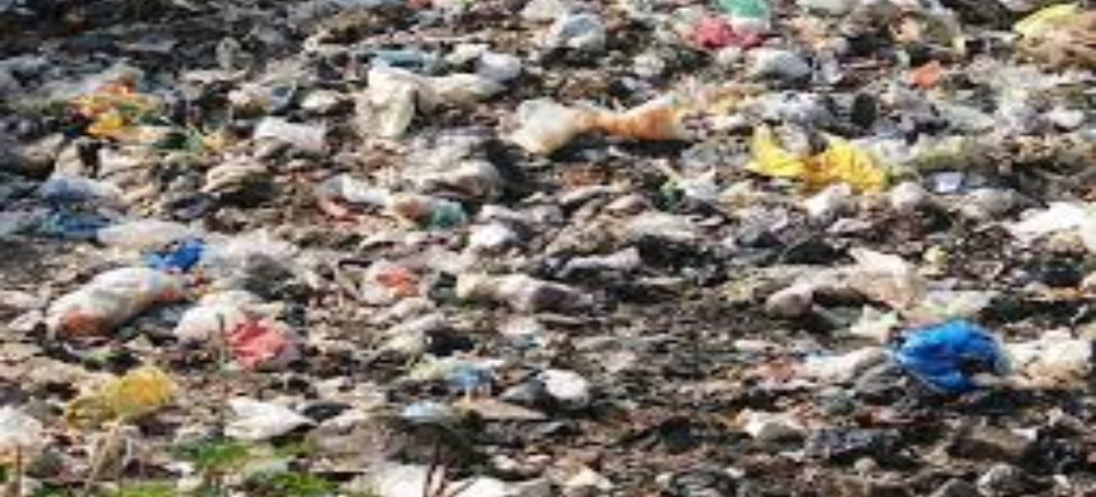 नगर निगम के अधिकारी कूड़े से कमा रहे सोना, गंदगी शहरवासियों के लिए छोड़ी