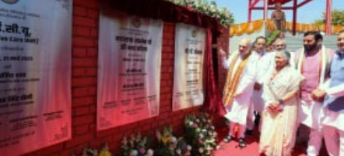 हरियाणा में आकर अमितशाह ने झूठ के पकौड़े तले