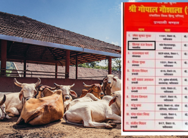 गोपाल गोशाला में भूख से मरते गोवंश की हत्या की जिम्मेदारी विहिप को लेनी चाहिए