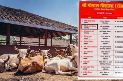 गोपाल गोशाला में भूख से मरते गोवंश की हत्या की जिम्मेदारी विहिप को लेनी चाहिए