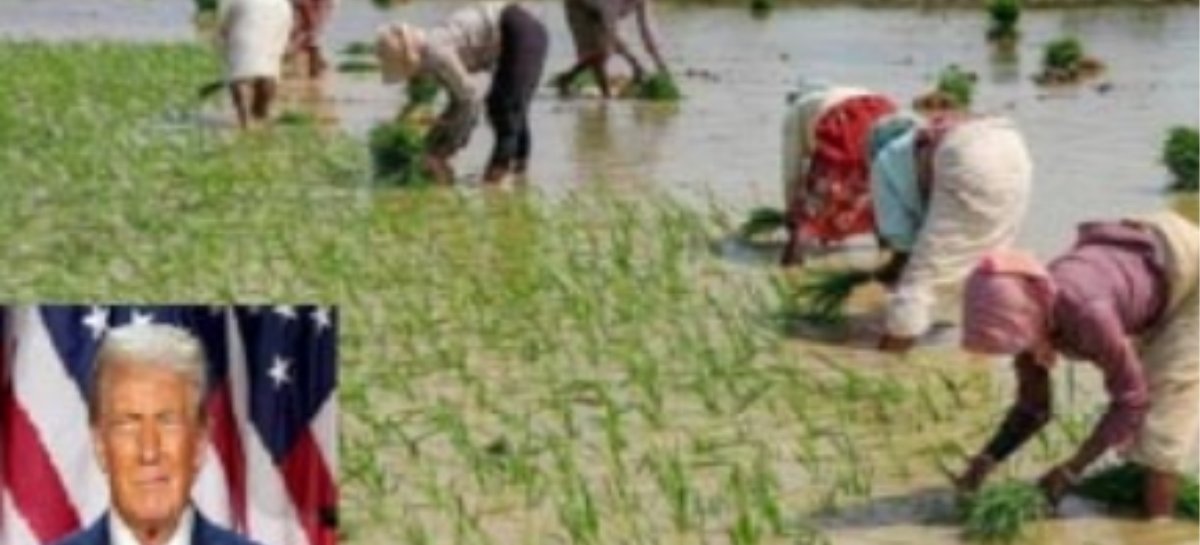 ट्रंप के डर से होगी हमारे किसान की लिंचिंग?