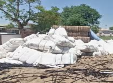 मंडी में नहीं पहुंचा बारदाना, कहां लेने जाएं…