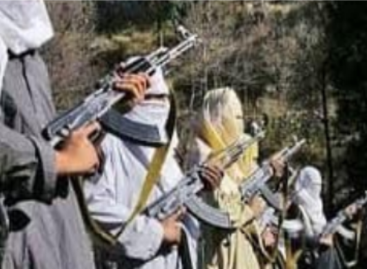 पाकिस्तान आतंक का पनाहगाह कैसे बना?