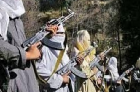 पाकिस्तान आतंक का पनाहगाह कैसे बना?