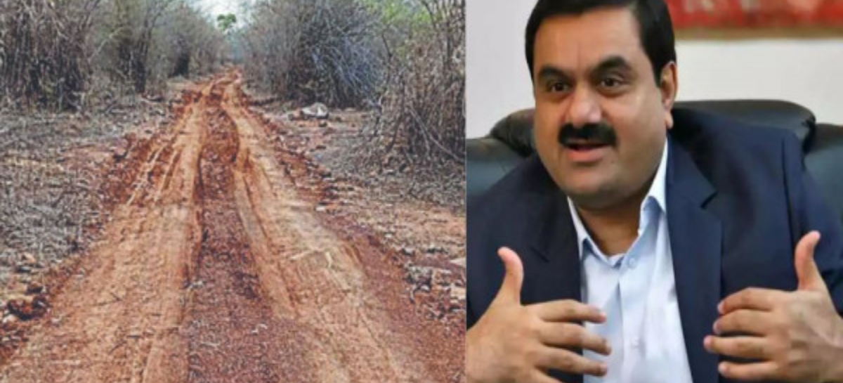 मिर्जापुर का जंगल बना अडानी का ‘अवैध’ इलाका? पर्यावरण नियमों के जबरदस्त उल्लंघन का आरोप