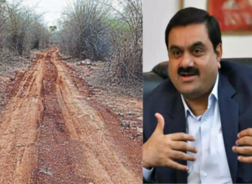 मिर्जापुर का जंगल बना अडानी का ‘अवैध’ इलाका? पर्यावरण नियमों के जबरदस्त उल्लंघन का आरोप